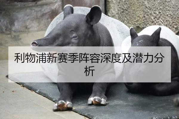 利物浦新赛季阵容深度及潜力分析