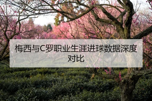 梅西与C罗职业生涯进球数据深度对比